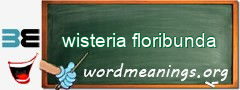 WordMeaning blackboard for wisteria floribunda